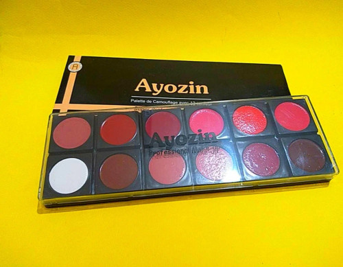 پالت رژلب Ayozin کد 66